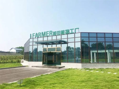 陜西旭田植物工廠在渝成功投產(chǎn)，總投資約800萬助力現(xiàn)代農(nóng)業(yè)發(fā)展
